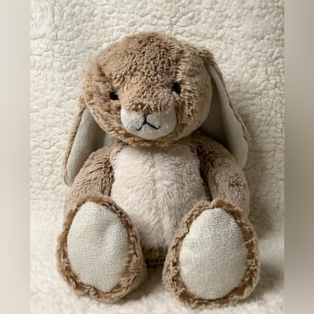 Aroma Home Microwaveable Heated Bunny Rabbit Plush Stuffed Animal
